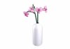 Sluban kompatibilis építőkészlet Flowers M38-B1101-12 Orchidea vázában 253 db
