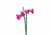 Sluban kompatibilis építőkészlet Flowers M38-B1101-12 Orchidea vázában 253 db