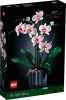 LEGO The Botanical Collection 10311 Orchidea