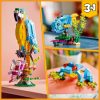 LEGO Creator 3-in-1 31136 Egzotikus papagáj