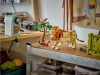 LEGO Creator 3-in-1 31150 Afrikai vadállatok