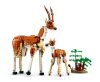 LEGO Creator 3-in-1 31150 Afrikai vadállatok
